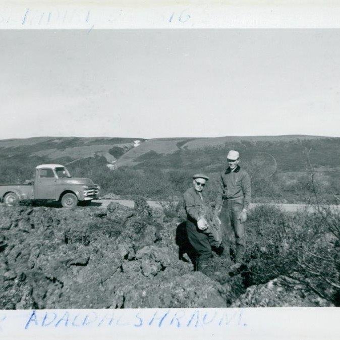 bs-009