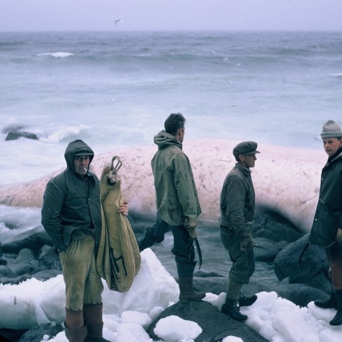 bs-278
