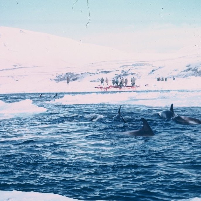 bs-285