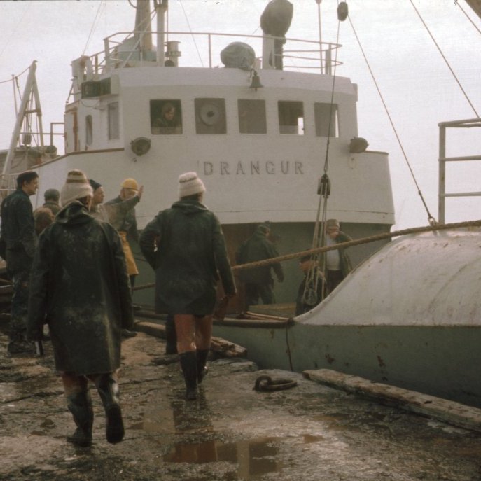 bs-304