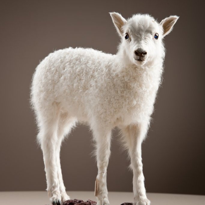 cld100416_safnahus_0023