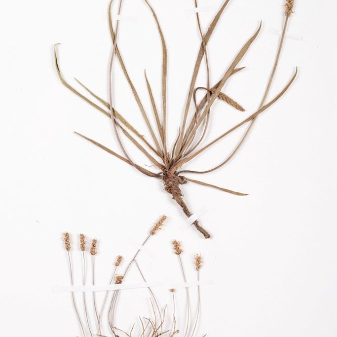 cld100416_safnahus_0178