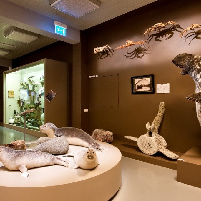 cld110121_d3x6621-edit