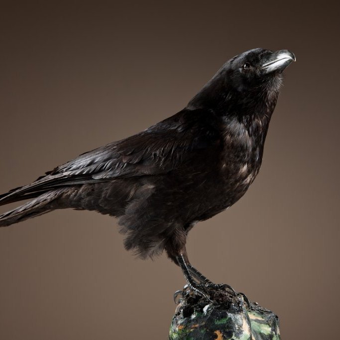 cld100416_safnahus_0045