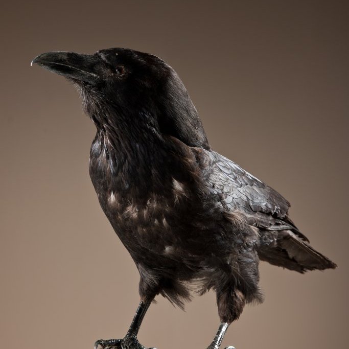 cld100416_safnahus_0048