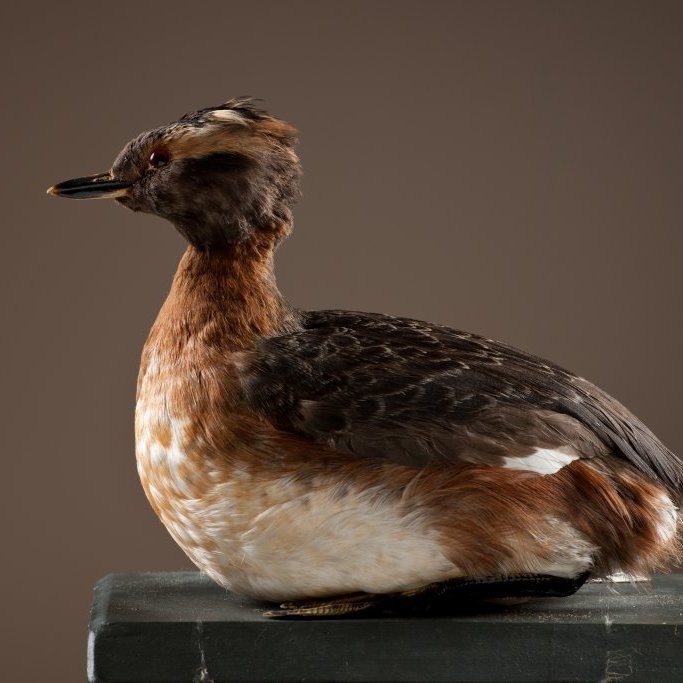 cld100416_safnahus_0069