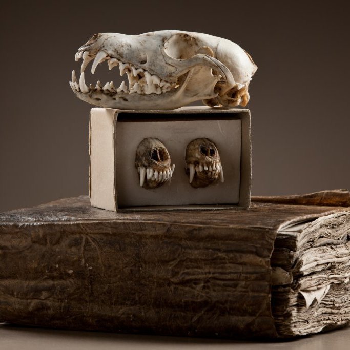 cld100416_safnahus_0096