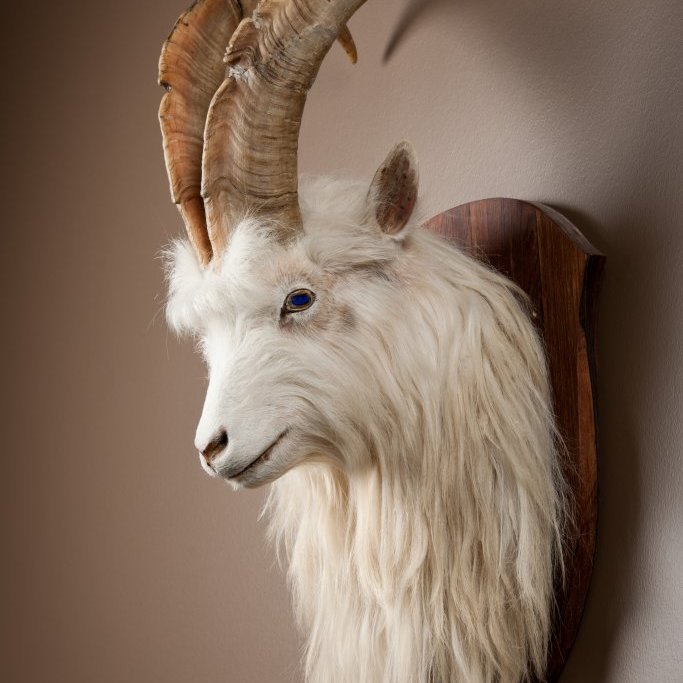 cld100416_safnahus_0216