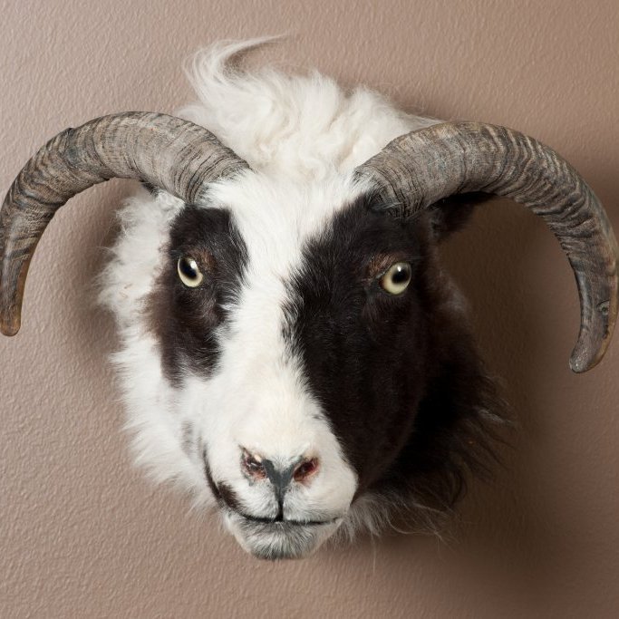 cld100416_safnahus_0220