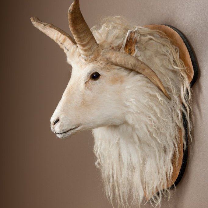 cld100416_safnahus_0236