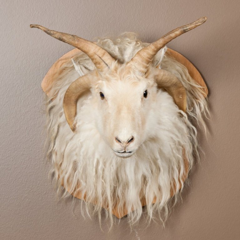 cld100416_safnahus_0238