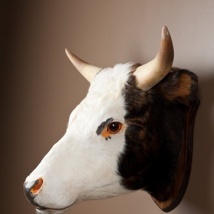 cld100416_safnahus_0245