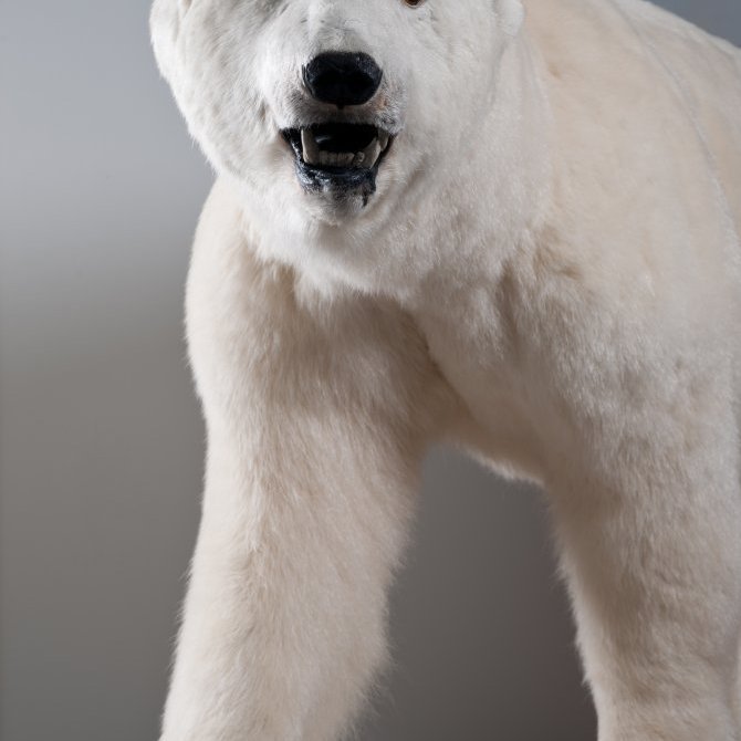 cld100416_safnahus_0257