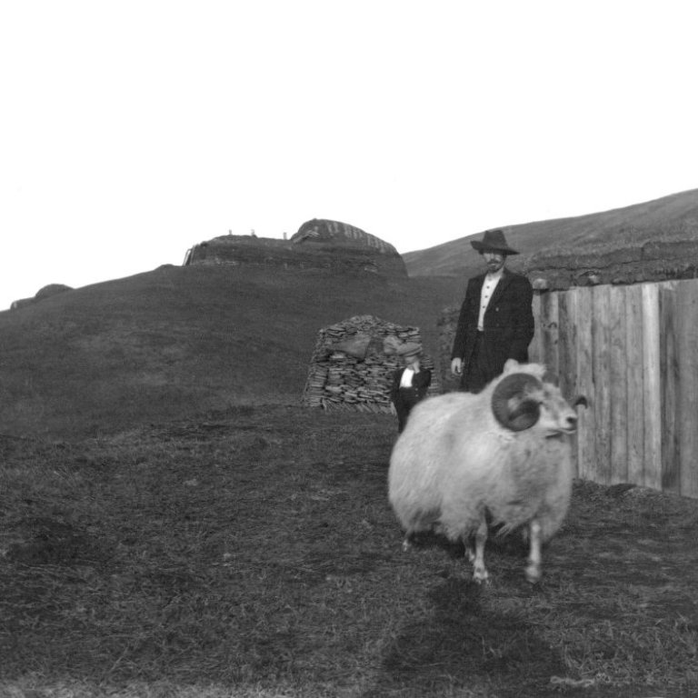Maður og hrútur. Útihús í bakgrunni og haugur af taði. Óþekkt.