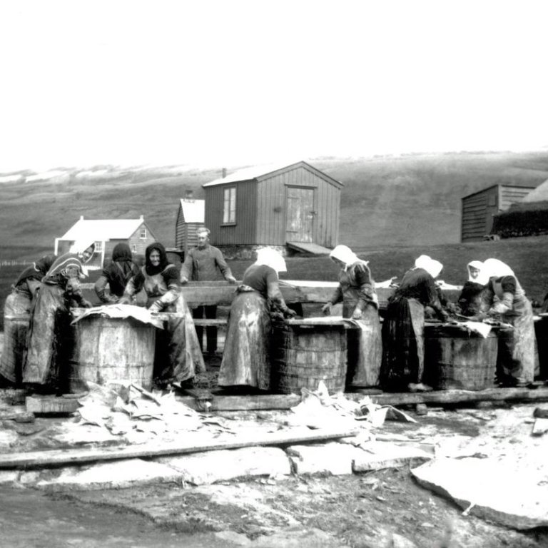 Fiskiþvottur í miðbæ Húsavíkur um 1900.