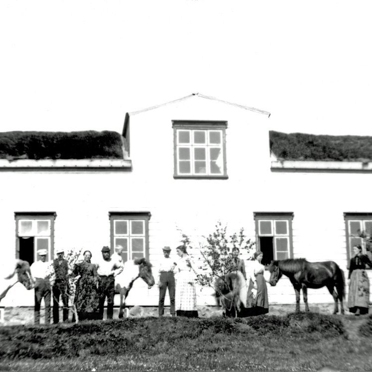 Halldórsstaðir í Kinn og heimilisfólk sumarið 1899. Guðrún Sigurðardóttir húsfreyja heldur í brúna hestinn, mágkona hennar Sigríður V Sigurðardóttir er nær útidyrum, á miðri mynd er Karl Kr Arngrímsson Veisu og Jónína Guðmundsdóttir sem var á Halldórsstöðum meira en 50 ár. Lengra til vinstri eru hjónin Sigríður Hallgrímsdóttir og Sigurður Sigurðsson síðr hreppstjóri Landamóti. Drengurinn á skjótta hestinum er Sigurður Geirfinnsson, síðar hreppstjóri Landamóti, Kristján Sigurðsson bóndi á Halldórsstöðum í hvítri skyrtu og heldur í kúfótta hestinn.