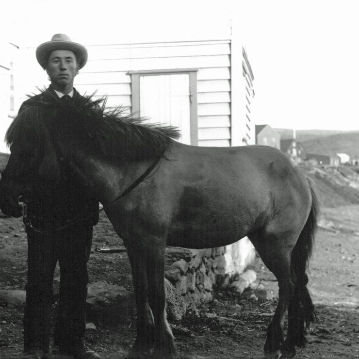 Sigurður Bjarklind með hest á Húsavík. Myndin tekin ca. 1898-1912.