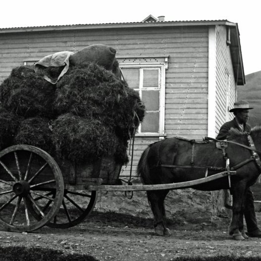 Templarahúsið. Einar Jónsson með æki. Myndin tekin ca. 1898-1912.