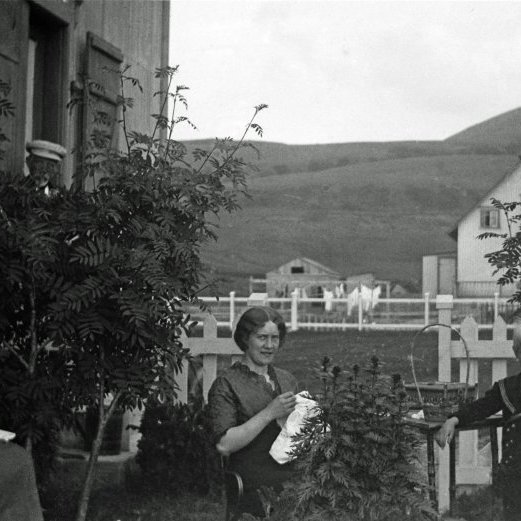 Í garðinum við hús sýslumanns Steingríms Jónssonar (Formannshús síðar). Frá vinstri:. Þóra Steingrímsdóttir, Benedikt Jónsson, Þorleif Norland Pétursdóttir og Kristján P. Steingrímsson, síðar sýslumaður. Auðnir í bakgrunni.