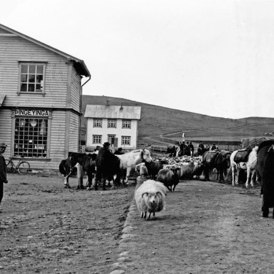 Götumynd. Garðarsbraut í dag. Söludeild til vinstri svo Aðalsteinshús og verslun Jóns Á. Jakobssonar til hægri. Reiðhjól við glugga söludeildar. Klukkuna vantar fjórðung í fjögur. Sláturfé að haustlagi?