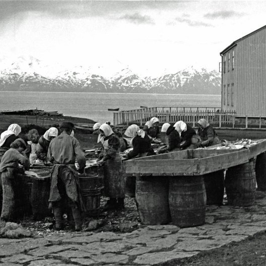 Fiskþvottur á stakkstæði við þorpslækinn á Húsavík fyrir um 1906-1910.