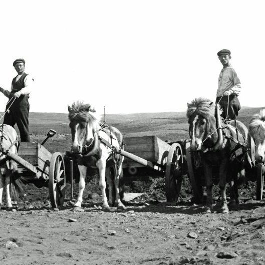 Tveir menn með hesta og kerrur. Óþekkt.