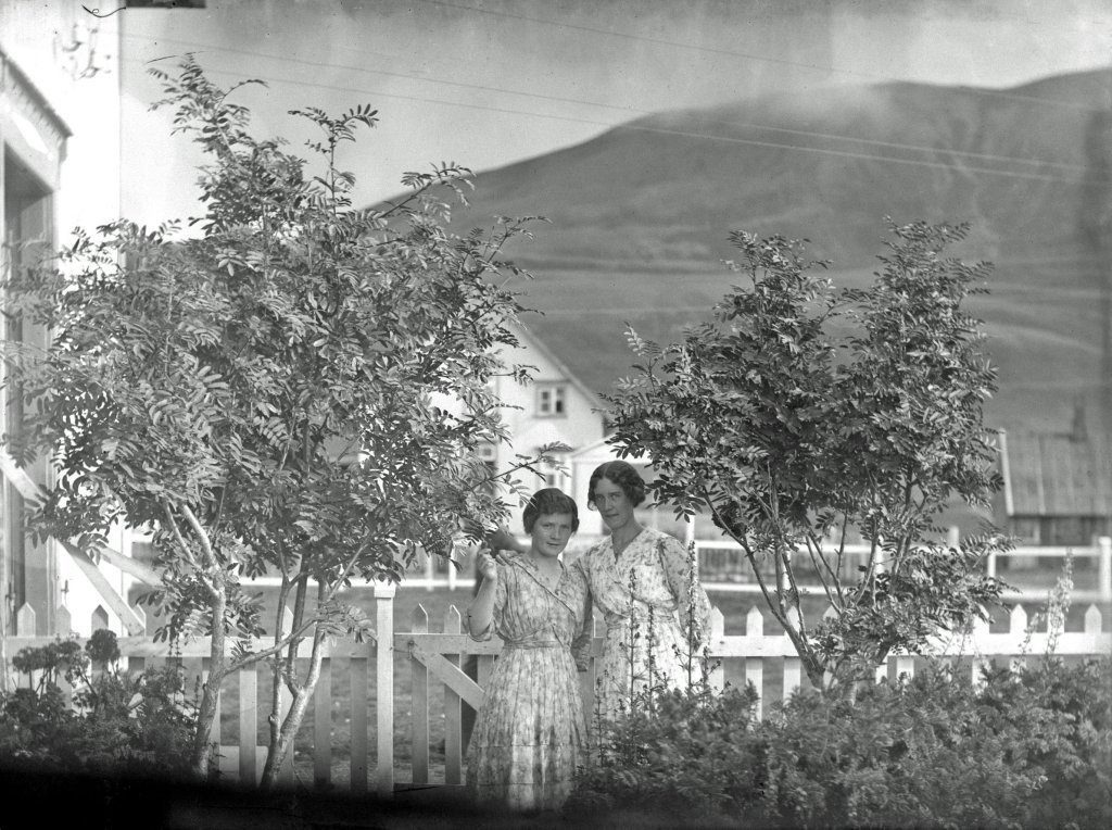SI-2962.jpg