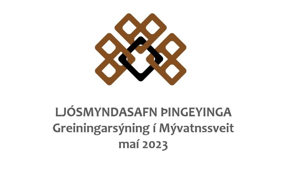 Greiningarsýning
