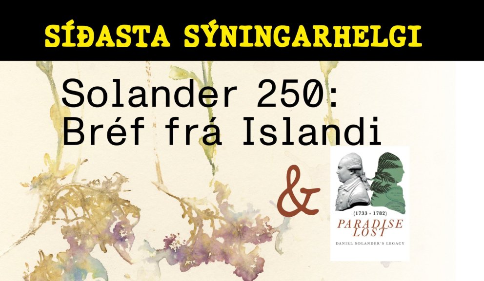 Síðasta sýningarhelgi!