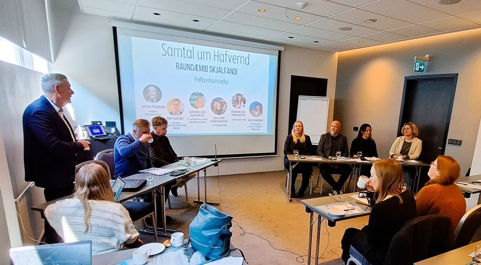 Framtíð Skjálfanda, verndun og nýting