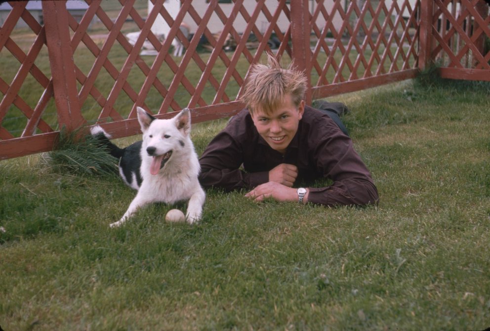 Greiningarsýning - Myndir Björns Sigurðssonar