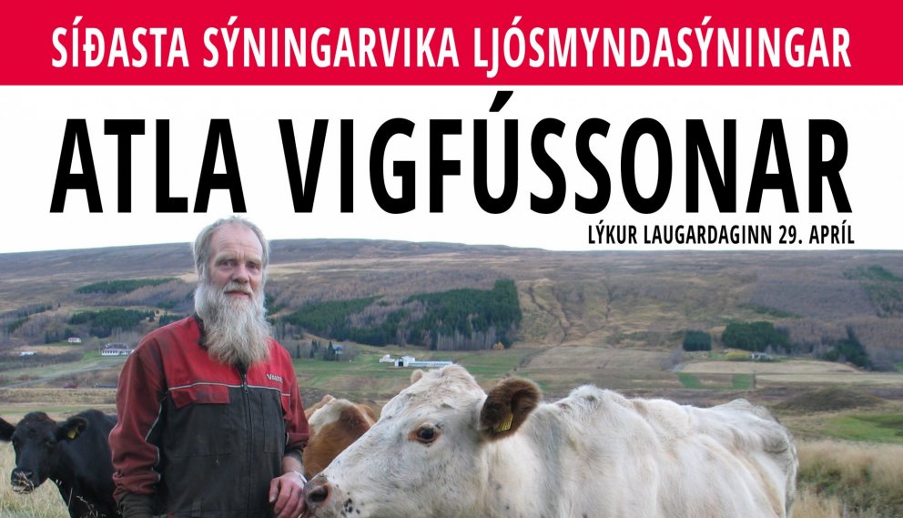 Síðasta sýningarvika