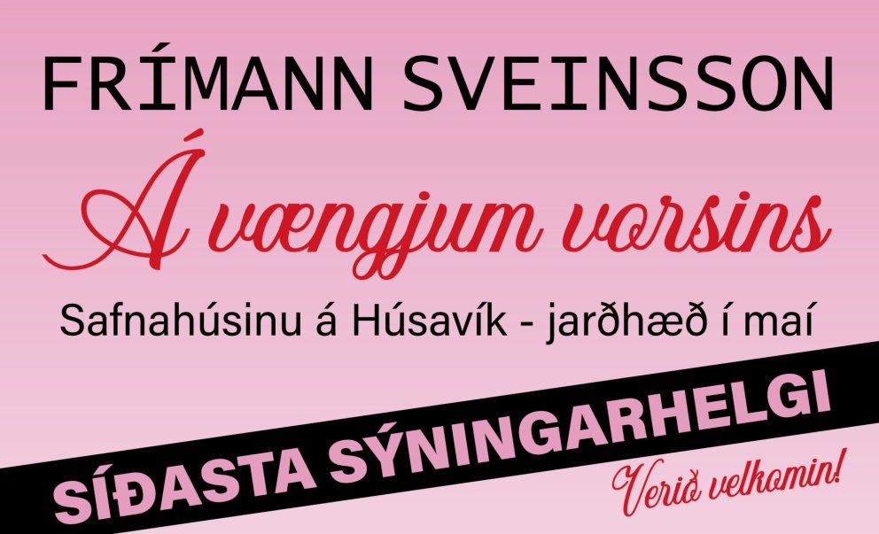 Síðasta sýningarhelgi!