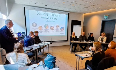 Framtíð Skjálfanda, verndun og nýting