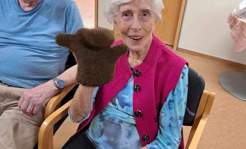 Heimsóknir í Hvamm