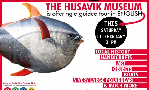 Guided Tour in English