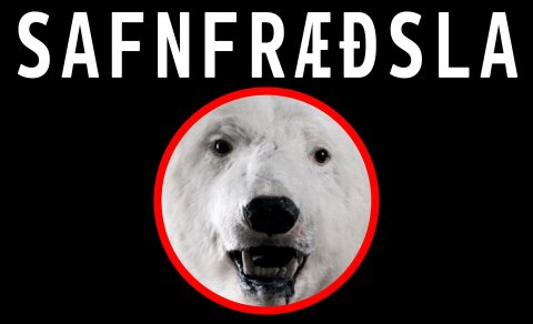 Safnfræðsla í Safnahúsinu