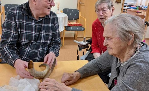 Heimsóknir í Hvamm