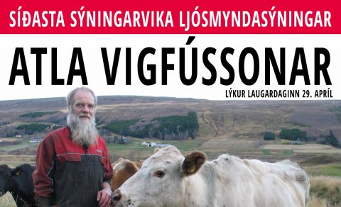 Síðasta sýningarvika