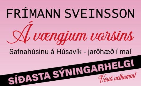 Síðasta sýningarhelgi!